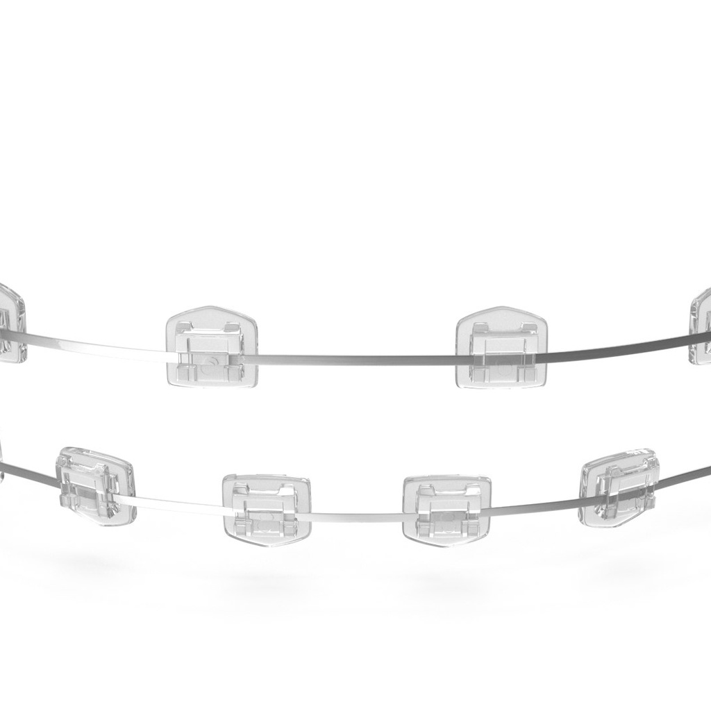 3D clinical illustration of Self Ligating Ceramic Braces