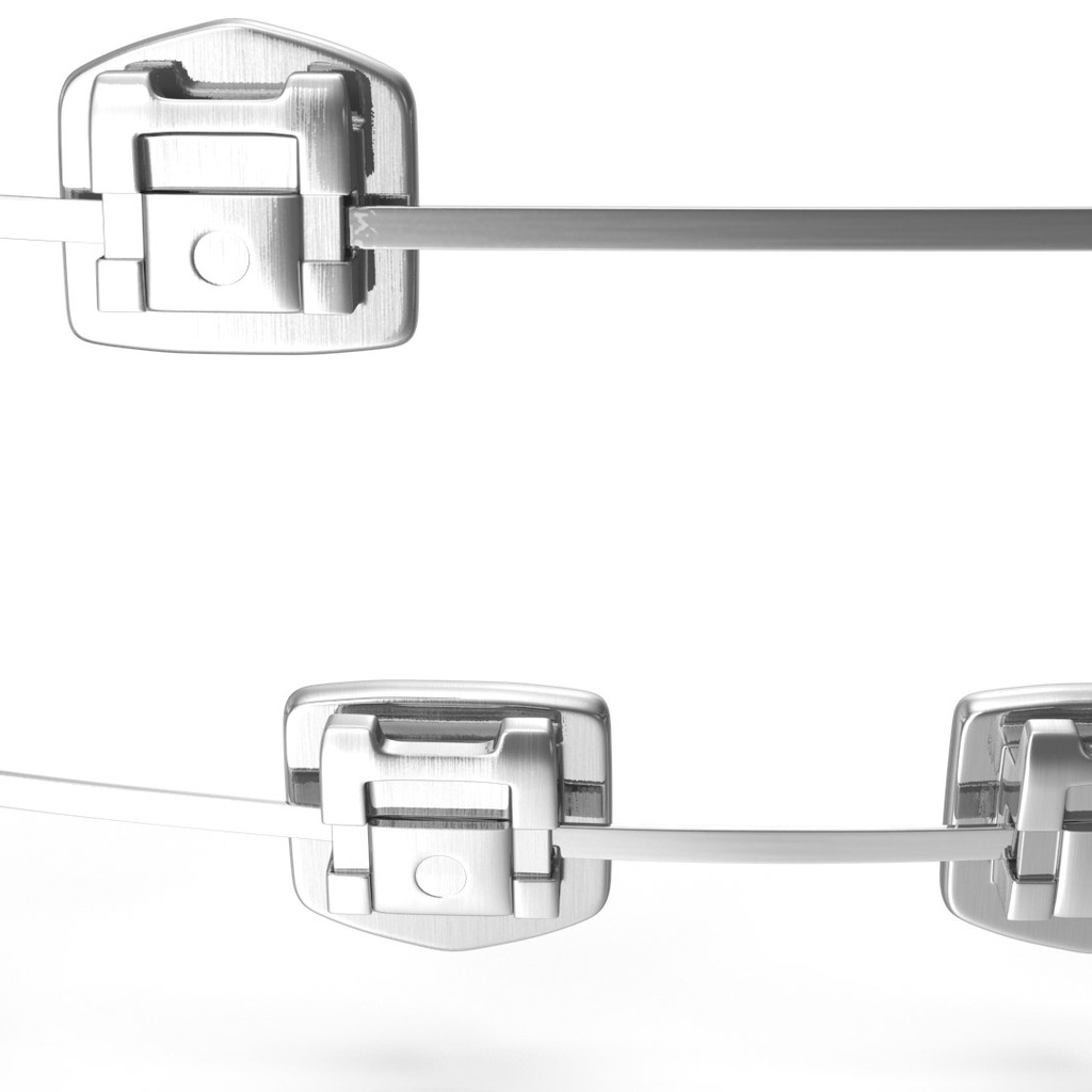 3D clinical illustration of Self Ligating Metal Braces